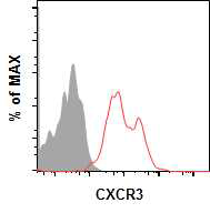 CD27dimCD20- B 세포에서 CXCR3 발현