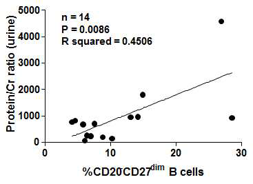 CD27dimCD20- B 세포 빈도와 소변 내 단백뇨 간 상관성 분석