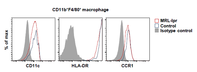 MRL/MpJ-Faslpr 동물의 신장 내 CD11b+F4/80+ 대식세포의 표현형
