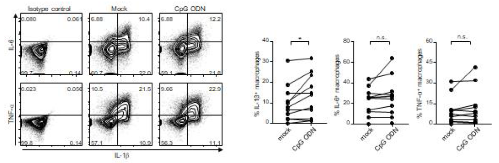 소변 CD11c+ 대식세포의 염증성 cytokine 분비능 (좌: 대표 dot plot, 우: 통계분석)