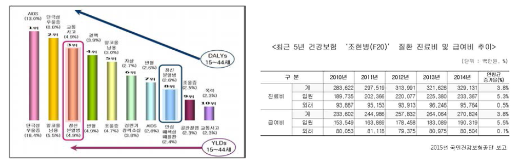 조현병의 질병부담 정도