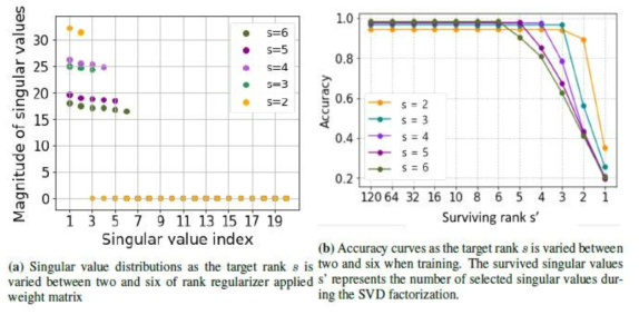 Effect of rank regularizer’s rank target s on final weight matrix of LeNet-5 on MNIST