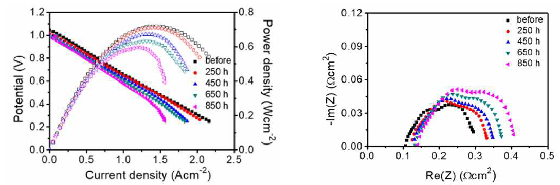 BCZYYb 기반의 일반적인 연료 전지 내구성 평가 결과 (좌: I-V-P, 우: 임피던스)
