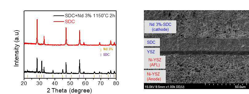 Nd 3%가 도핑된 BFO와 SDC을 섞은 혼합전도체물질의 XRD (좌) 및 가역고체산화물전지의 SEM 측면이미지 (우)