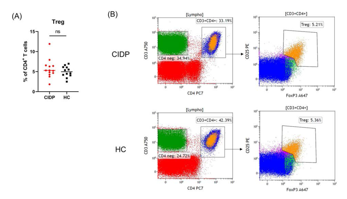 Treg cells in CIDP patients and healthy controls. (Multicolor Flow Cytometry)