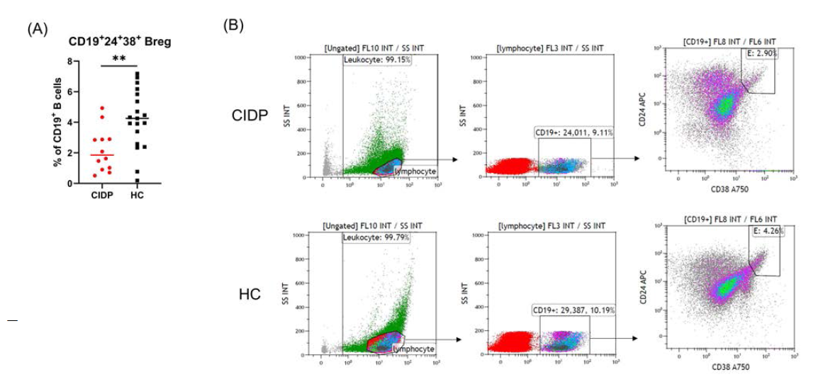Breg cells (transitional Breg cells) in CIDP patients and healthy controls (Multicolor Flow Cytometry)