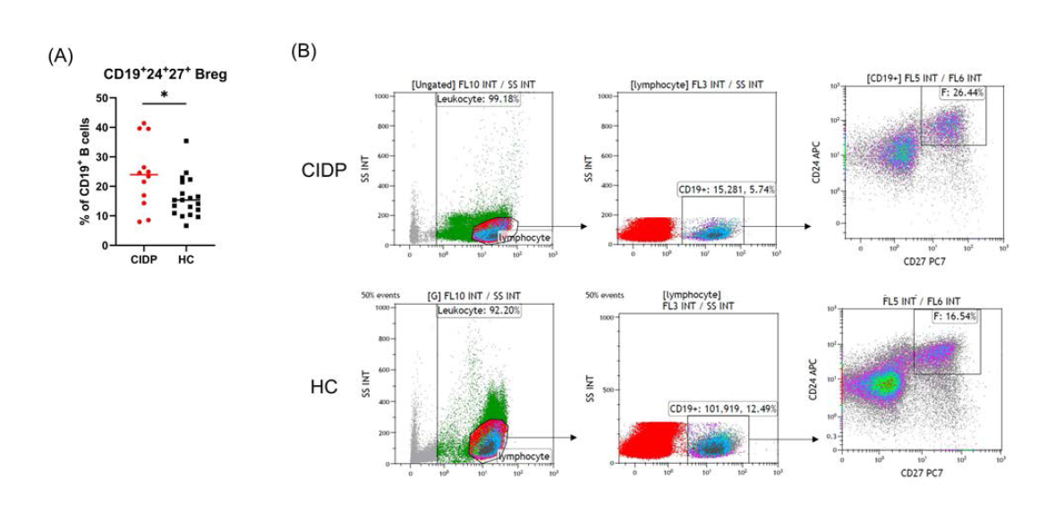 Breg cells (plasmabast-like Breg cells) in CIDP patients and healthy controls (Multicolor Flow Cytometry)