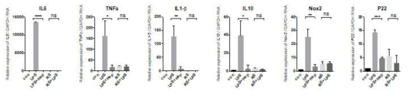 Level of cytokines and ROS generating enzyme subunits in BMDM treated with Rhodobacter sphaeroides derived LPS (LPS-RS) . Expression level was measured by qPCR from BMDM upon pretreatment with PBS or hepcidin (1ug/ml) or LPS-RS (1ug/ml ) before LPS treatment. LPS-RS can bind to TLR4 but not activate signaling pathway