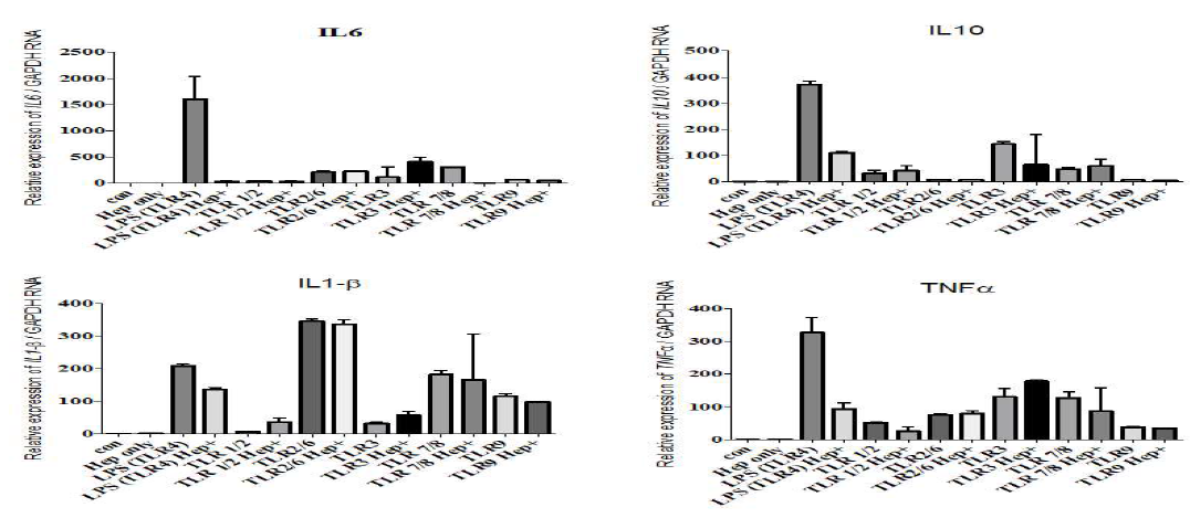 Inflammatory cytokine profile upon the treatment of TLR agonist, LPS in BMDM Isolation monocyte Start of cell differentiation before 6 days. After 6days later Cell seeding (1x106/well). -3hr -/+ hepcidin (1μg/ml). TLR 4, 1/2, 2/6, 3, 7/8, 9 agoinist treated (3μg/ml) 1hr later qPCR
