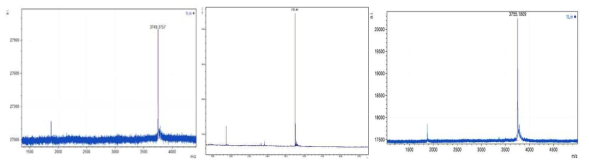 합성, 정제한 polycharged amphiphilic peptide의 MALDI-TOF 스펙트럼(왼쪽부터 pyrene 개수 각각 0, 1, 2개인 펩타이드)