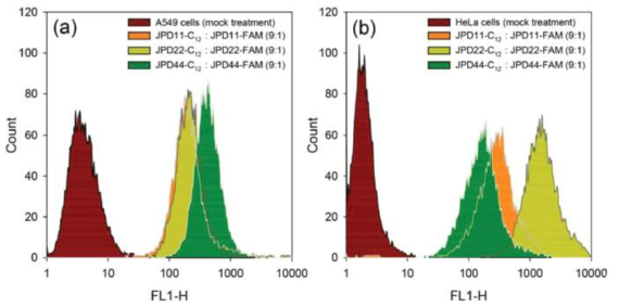 야누스 덴드리머 펩타이드(JPD)와 세포 표면 수용체 및 세포 내 이동에 대한 다가성 상호작용. 형광 활성 세포 분류법 (fluorescence-activated cell sorting, FACS)을 이용한 세포 내 JPD 조립체 이동 관찰. (a) A549 세포, (b) HeLa 세포