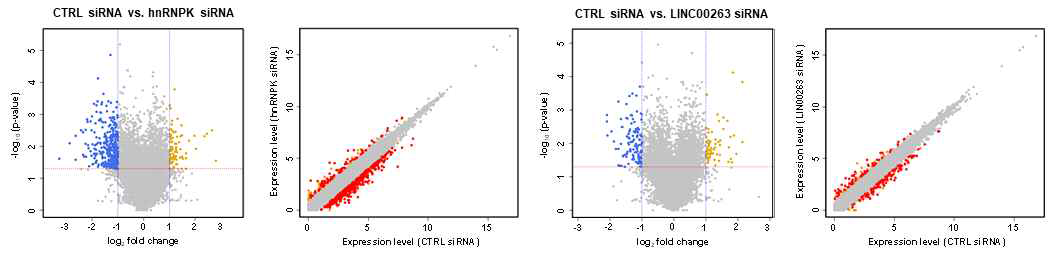 RNA seq 결과 분석 (Volcano and Scatter plots)