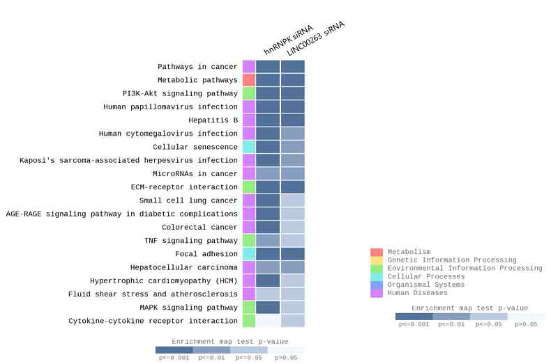 Gene ontology (GO) 분석