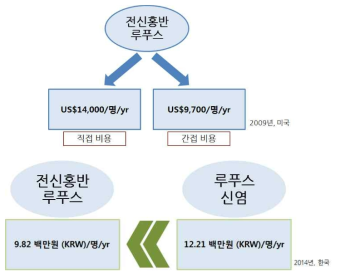 루푸스 및 루푸스 신염으로 인한 직, 간접적 의료 비용 (위; 한국, 아래; 미국)