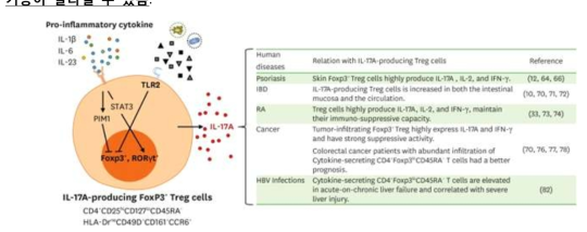 IL-17A+ Treg 세포의 질병과의 연관성