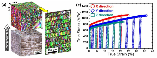 SLM 공정으로 적층 제조된 조형체의 (a, b) 3D 미세조직 및 (c) 방향별 진응력-진변형률 곡선