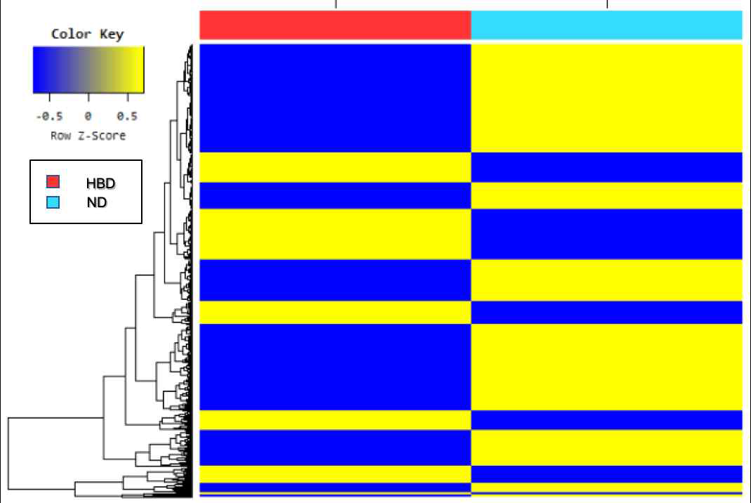 Heat map for genes with similar expression levels