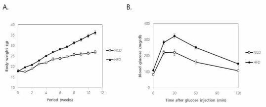 A. 고지방 식이 마우스의 체중 변화 B. 12주 후 당내성 테스트 결과
