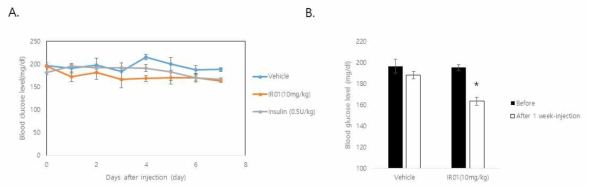 (A) 고지방 식이에 의한 2형 당뇨 모델에서 인슐린 수용체 압타머 투여 후, 혈당 변화 (B) IR01 투여전 vs 투여 후 혈당 비교