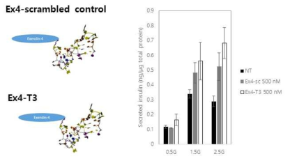Ex4-T3에 의한 당의존적 인슐린 분비능 개선