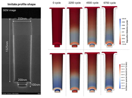 고단차 비의 hole에서 실제 성막된 ALD 박막과 3차원 ALD 공정 전산 모사 결과