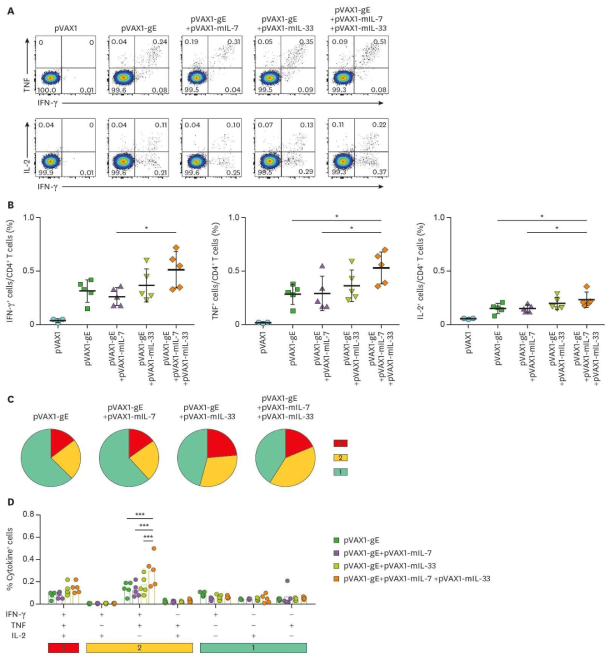 B6 마우스에 대상포진 DNA 백신을 투여할 때 cytokine adjuvant의 효과를 분석한 결과, IL-7 및 IL-33의 병합투여에 의해 IFN-g, TNF, IL-2 등의 cytokine 분비가 유의하게 증가하였고(A, B), polyfunctional T세포의 빈도도 가장 크게 증가함(C, D)