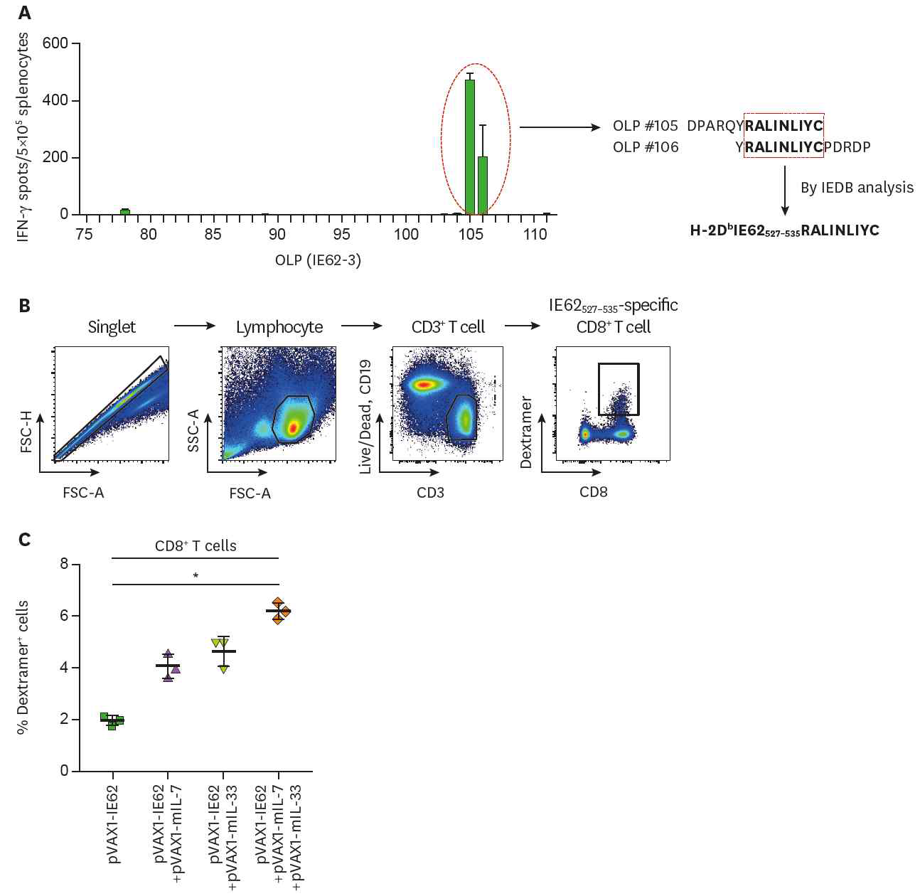 pVAX1-IE62 투여에 따라 유도되는 CD8+ T세포의 에피토프 발굴 및 이를 활용한 MHC class I 염색 결과