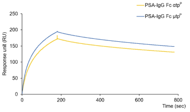 정제한 전립선암 polymeric 융합 백신 단백질(PSA-IgG Fc αtp, PSA-IgG Fc μtp)과 Fc 수용체 (CD64)와의 결합력을 비교하기 위하여 [Surface plasmon resonance (SPR)]을 이용하여 확인