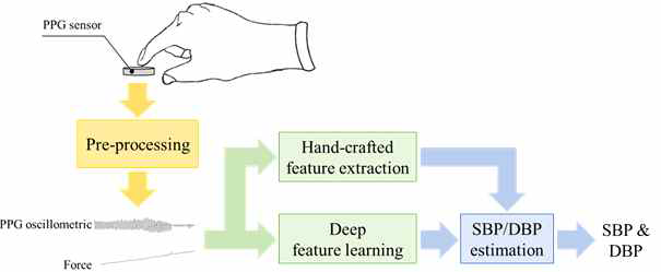 Deep learning 기반 혈압 추정 개요도