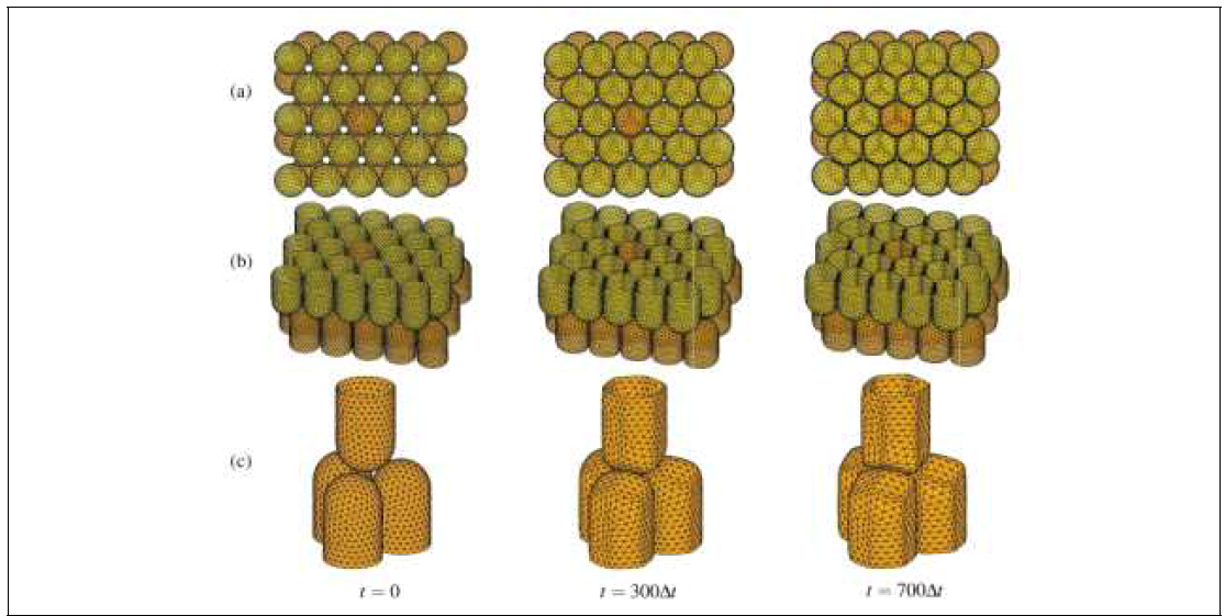 컴퓨터 시뮬레이션을 통한 3차원 벌집구조 형성 과정. (a) top view, (b) side view, (c) (b)의 일부