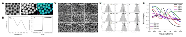 A. 전형적인 Ag@Fe3O4 NPs의 HR-TEM 및 HAADF-STEM 이미지, B. 흡광 스펙트럼 및 자기 히스테리시스 커브, C. Ag@Fe3O4 NPs의 크기 제어에 대한 SEM image, D. SEM image를 기반으로 한 크기 분포, E. 직경 크기 입자가 다른 나노입자 분산체의 흡광 특성