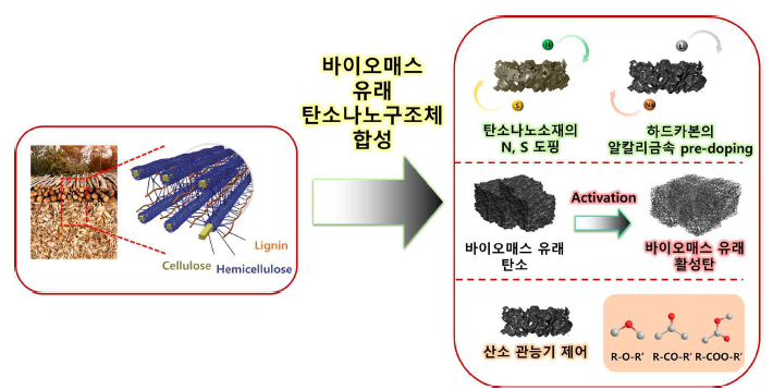 바이오매스 유래 탄소나노소재 표면 특성 제어 및 금속이온 담지 기술 개념도