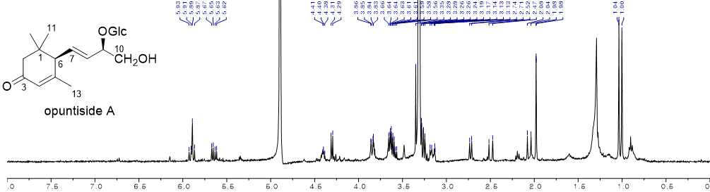opuntiside A의 구조와 1H NMR 스펙트럼