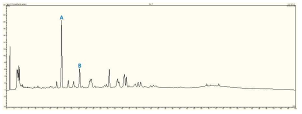 참빗살나무 HPLC chromatogram (270 nm) A:Quercetin-3-O-sambubioside-7-O-β-D-glucoside B:Isorhamnetin-3,7-diglucoside