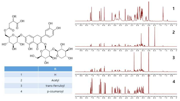 무늬참빗살나무 특이 성분 확보 (malylated flavonoid glycosides 류) 및 화합물의 1H NMR spectrum