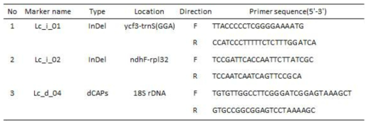 엽록체 및 45S rDNA 염기서열 변이 기반 마커정보