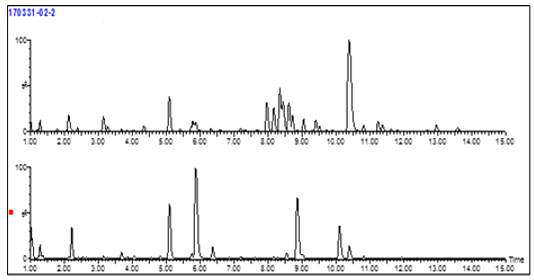 섬노린재 (위) 및 왜성섬노린재 (아래) 대한 UHPLC-QTOF-MS chromatogram
