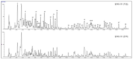 직립팥배나무 (위) 및 팥배나무 (아래)의 UHPLC-QTOF-MS chromatogram