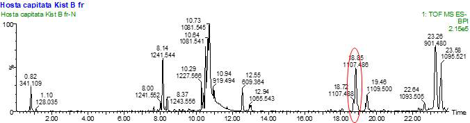 일월비비추 n-BuOH 분획물의 UPLC-QTOF-MS 크로마토그램 및 지표성분 피크
