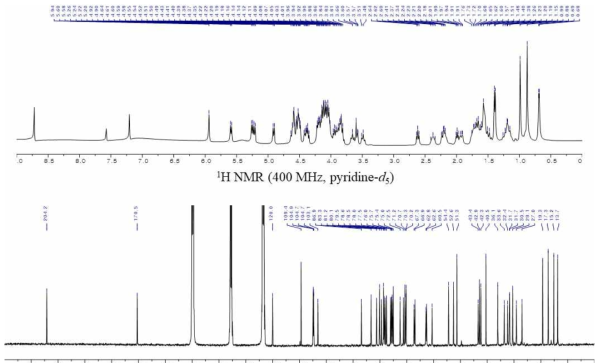 일월비비추 n-BuOH 지표성분의 구조 및 NMR spectrum