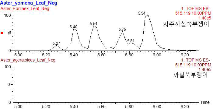 dicaffeoyl quinic acid 계열 물질의 [M-H]- 분자량인 515.1190 (± 10 ppm)으로 검색한 retention time 5.0~6.0 min의 peak 분포