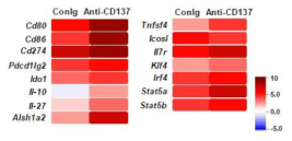 항-CD137 항체 자극에 의해 증가하는 유전자. 비장의 CD11c+ DC에 항-CD137 항체를 24 시간 처리 후 RNA seq을 수행하였음