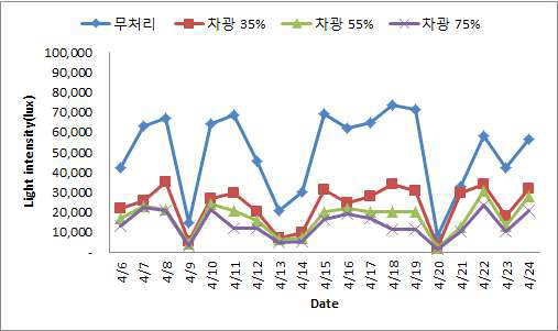 실험온실 조도량 변화(2016)