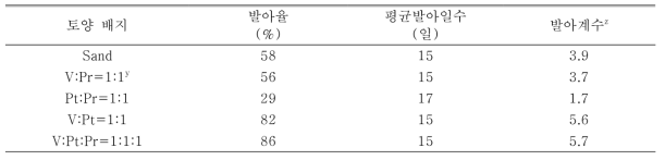 플러그 트레이 용토가 패랭이꽃(제주) 발아에 미치는 영향