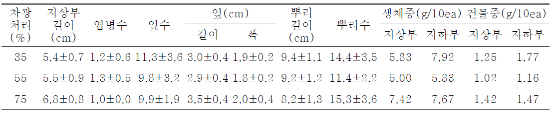 차광처리가 미역취(제주)의 발아 및 생육에 미치는 영향