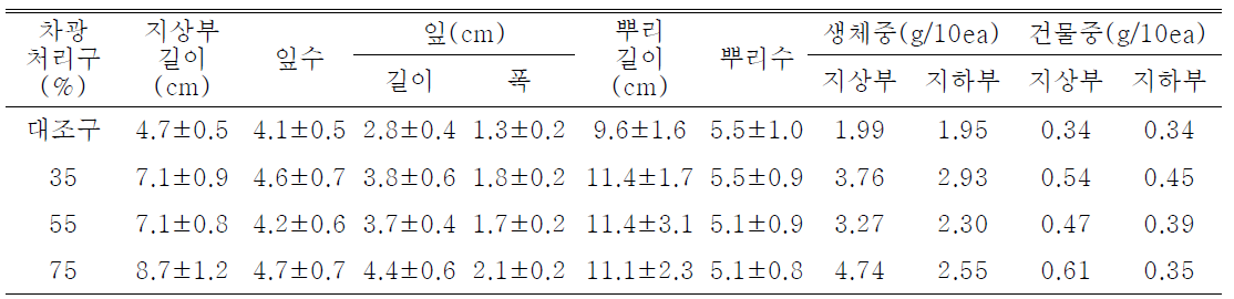 차광처리가 일월비비추 ‘퍼스트벨’의 발아 및 생육에 미치는 영향