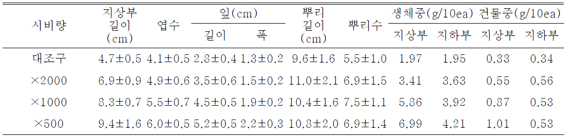 시비량 처리가 일월비비추 ‘퍼스트벨’ 의 발아 및 생육에 미치는 영향