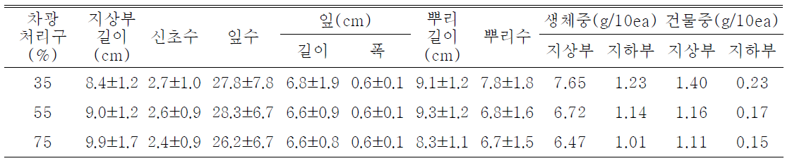 차광처리가 술패랭이(왜성)의 발아 및 생육에 미치는 영향