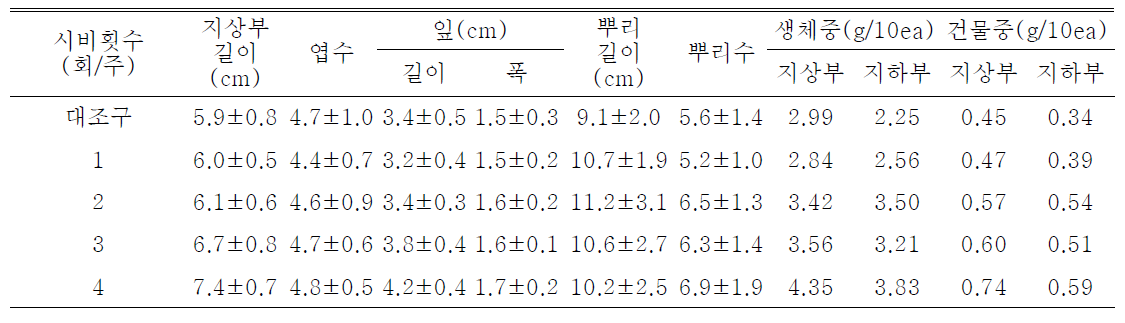 시비횟수 처리가 일월비비추 ‘퍼스트벨’의 발아 및 생육에 미치는 영향