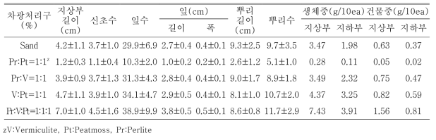 플러그 트레이 용토가 패랭이꽃(제주) 발아 및 생육에 미치는 영향